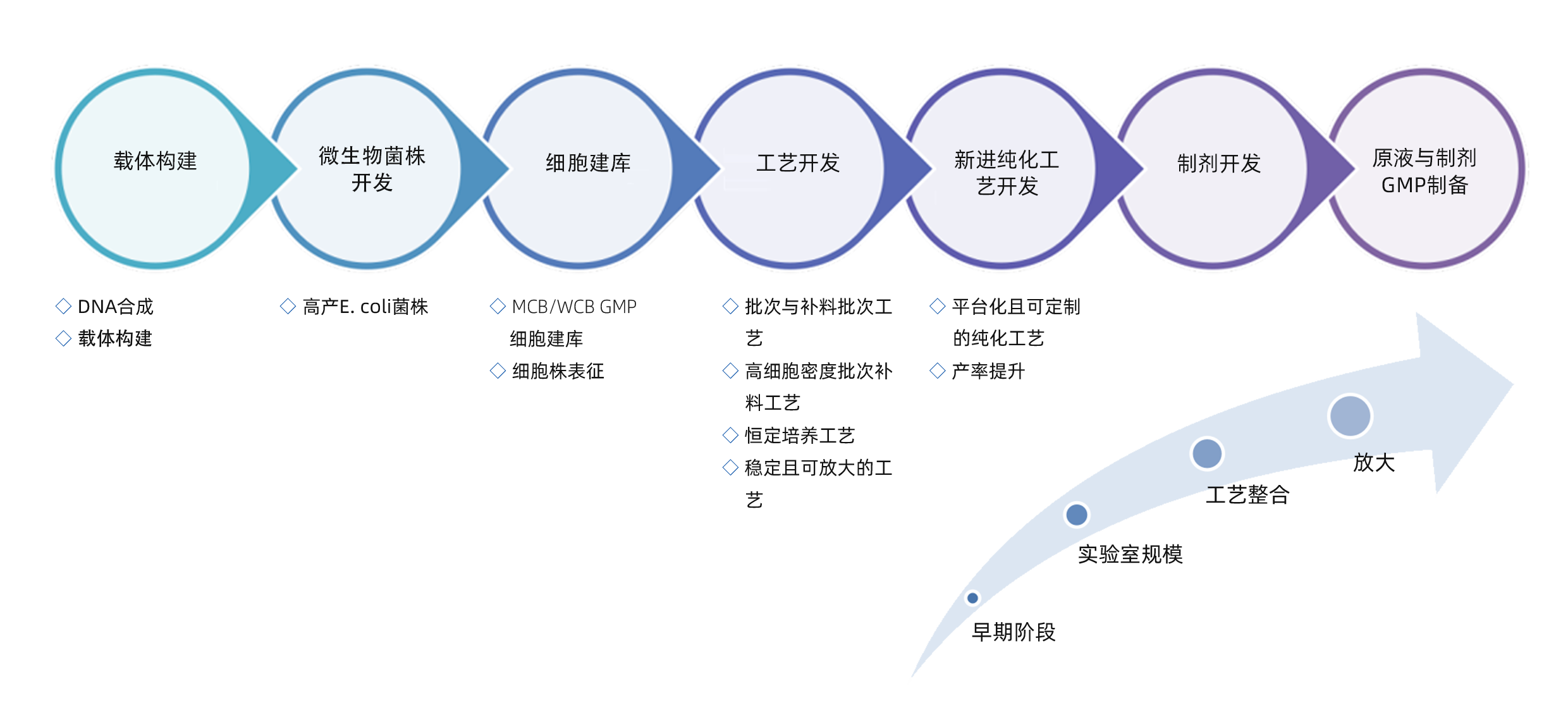 一体化CMC 开发